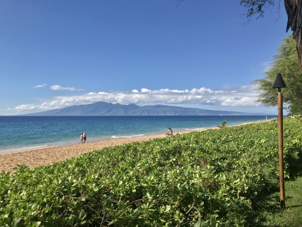 Lahaina Condo 966503