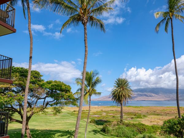 Beachfront  Kihei Condo