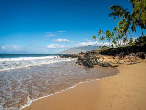Cozy and Conveniently Located 2-Bedroom Retreat in Kihei