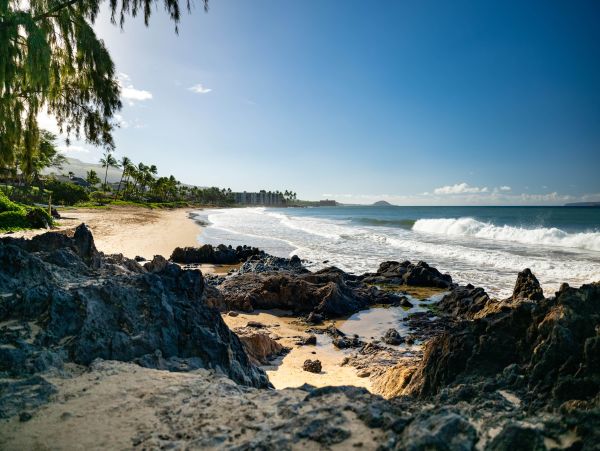 Cozy and Conveniently Located 2-Bedroom Retreat in Kihei