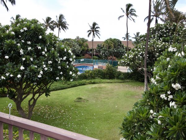 Kihei Condo 966508