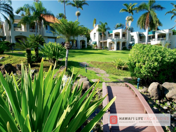 Wailea Condo 966509