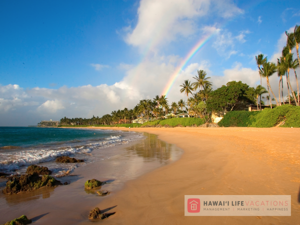 Wailea Condo 966509