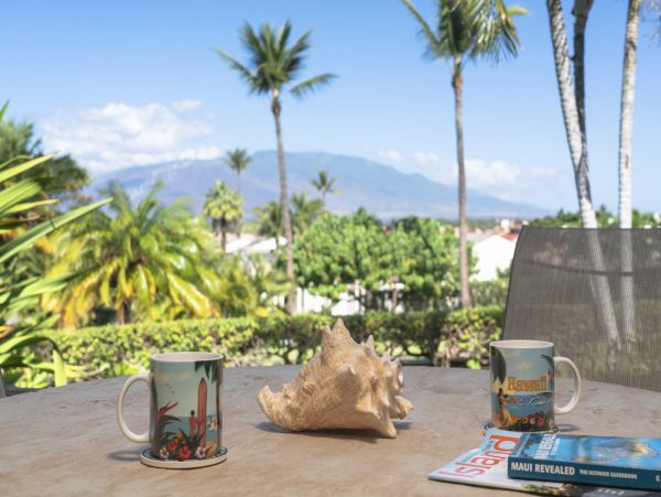 Kihei Condo 966510