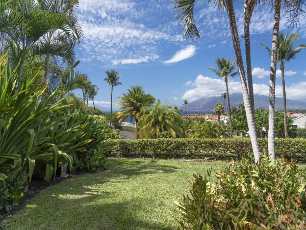 Kihei Condo 966510