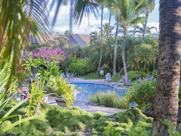 Kihei Condo 966510