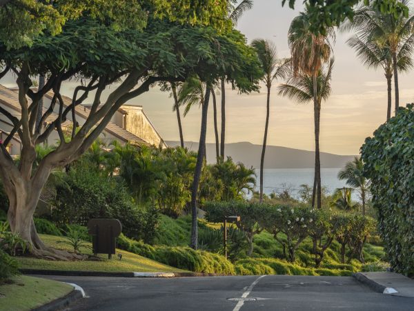 Kihei Condo 966510