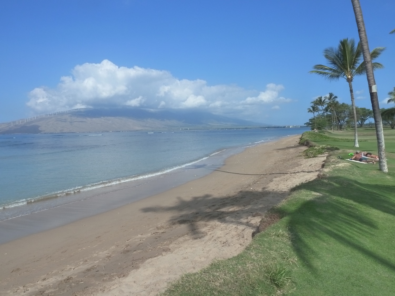 Kihei Condo 966511