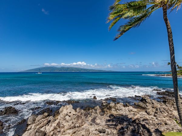 Napili 5 bedroom Oceanfront  Property