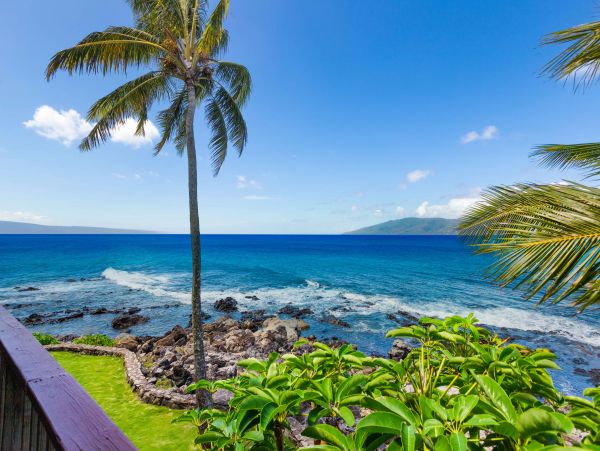 Napili 5 bedroom Oceanfront  Property