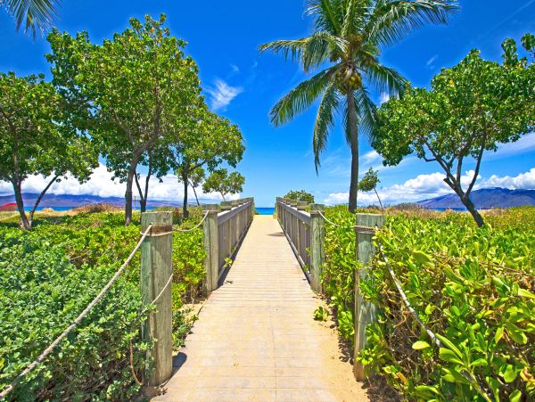Maui Three Bedroom Resort Condo