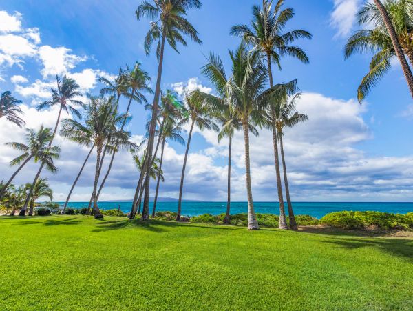 Kihei Condo 966520
