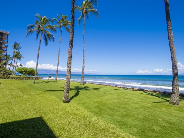 Beachfront Two Bedroom Vacation Condo in Kaanapali