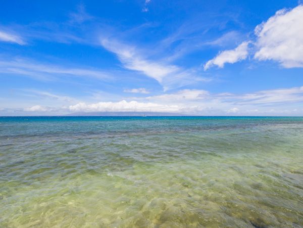 Beachfront Two Bedroom Vacation Condo in Kaanapali