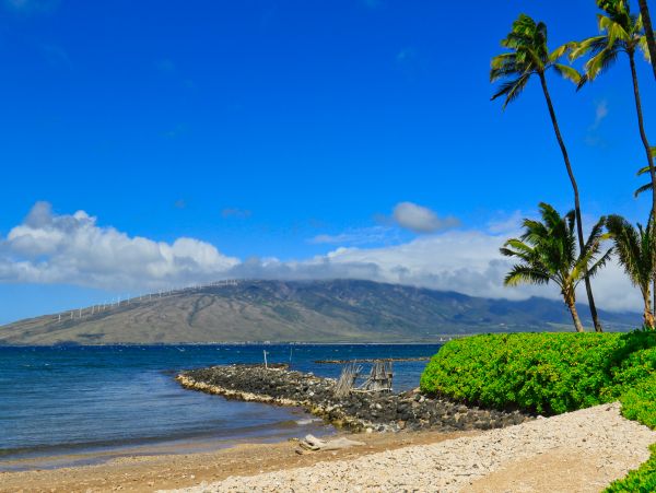 Kihei Condo 966523