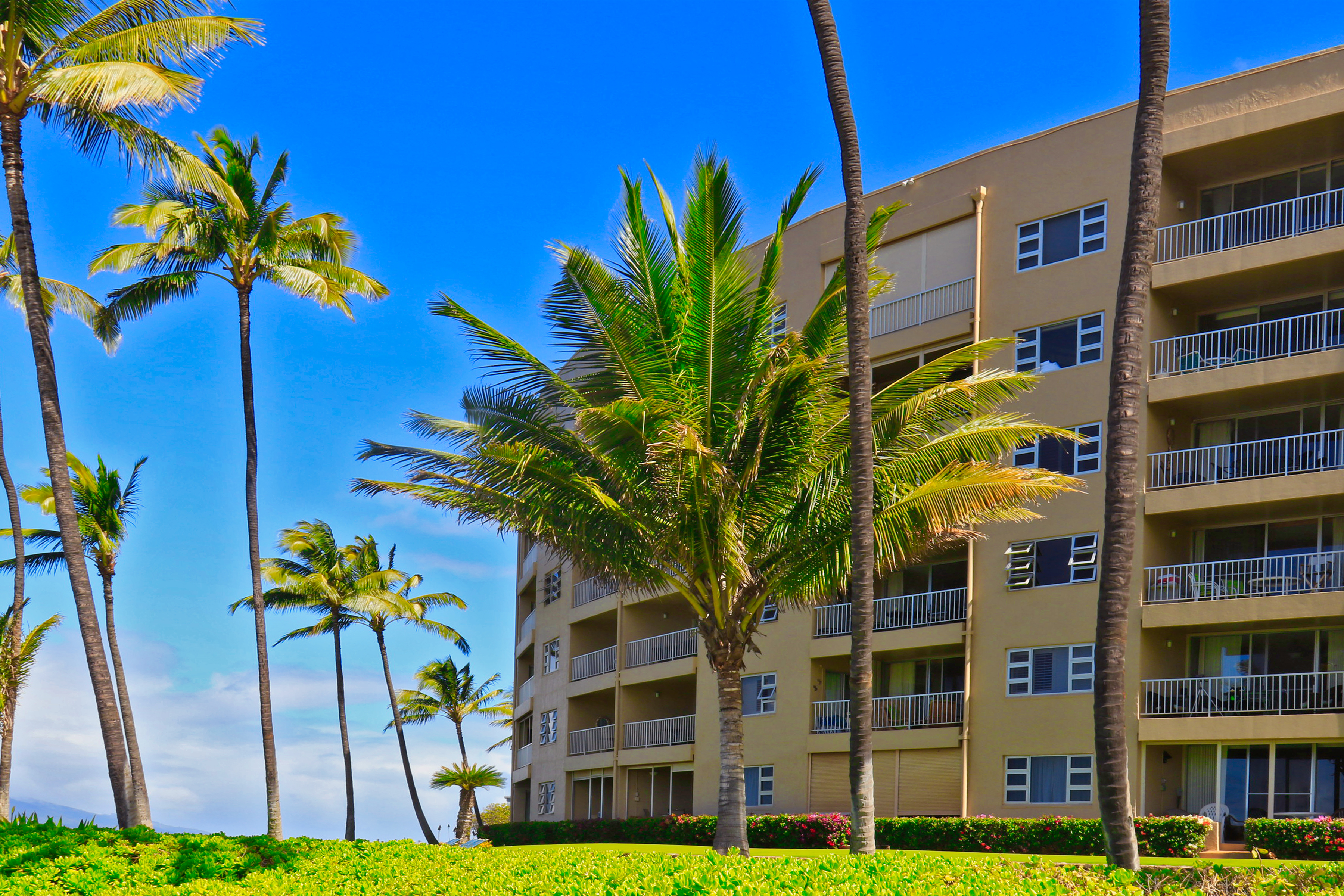 Kihei Condo 966523