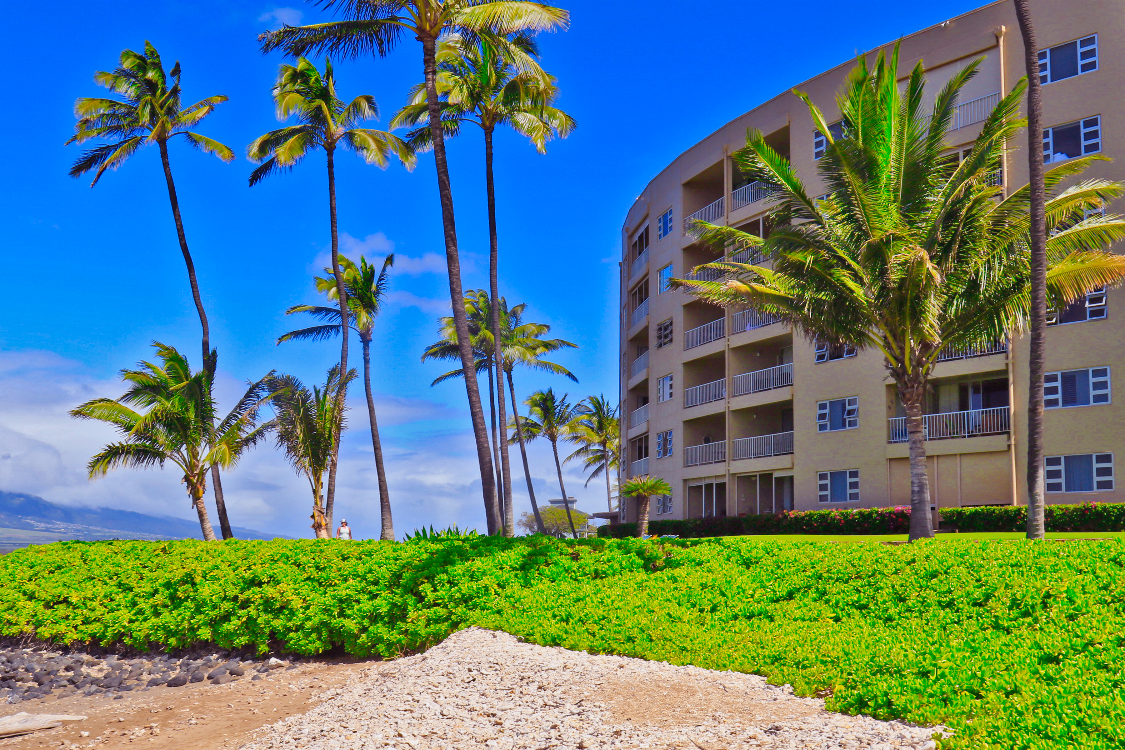 Kihei Condo 966523