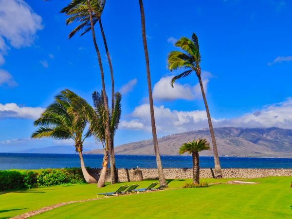 Kihei Condo 966523