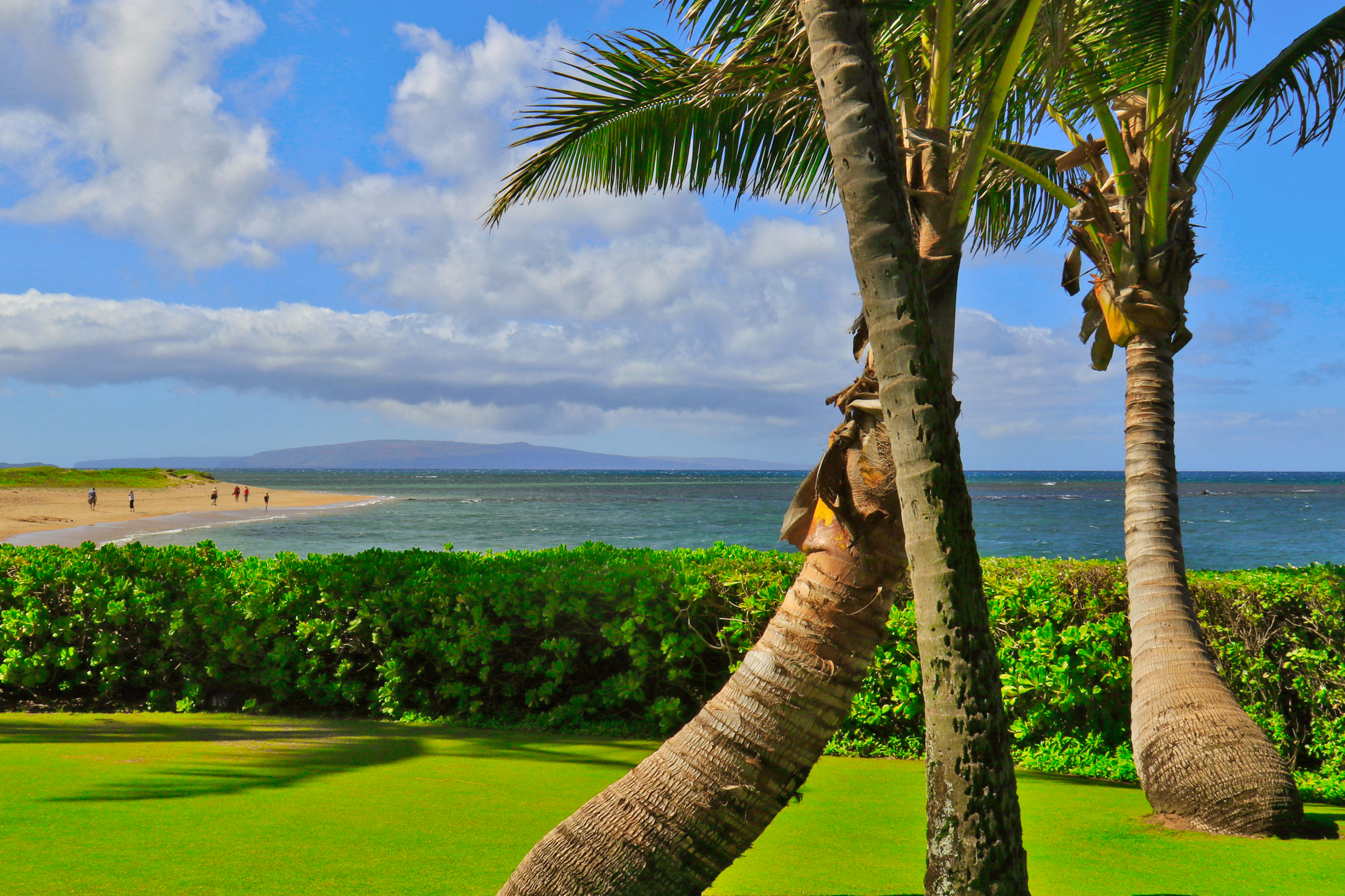 Kihei Condo 966523