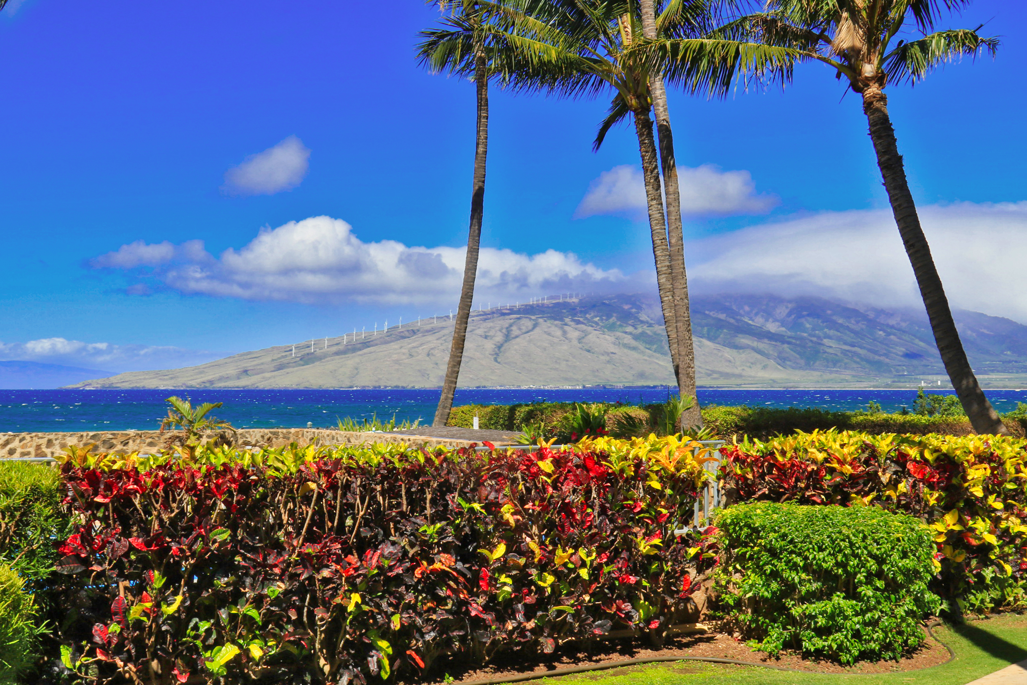 Kihei Condo 966523