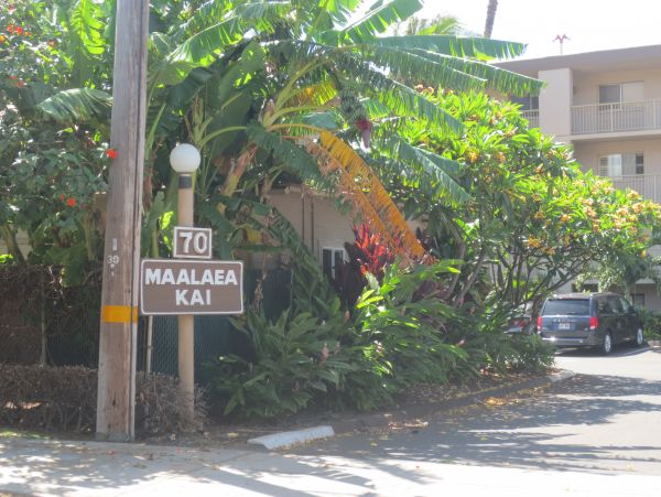 Kihei Condo 966524