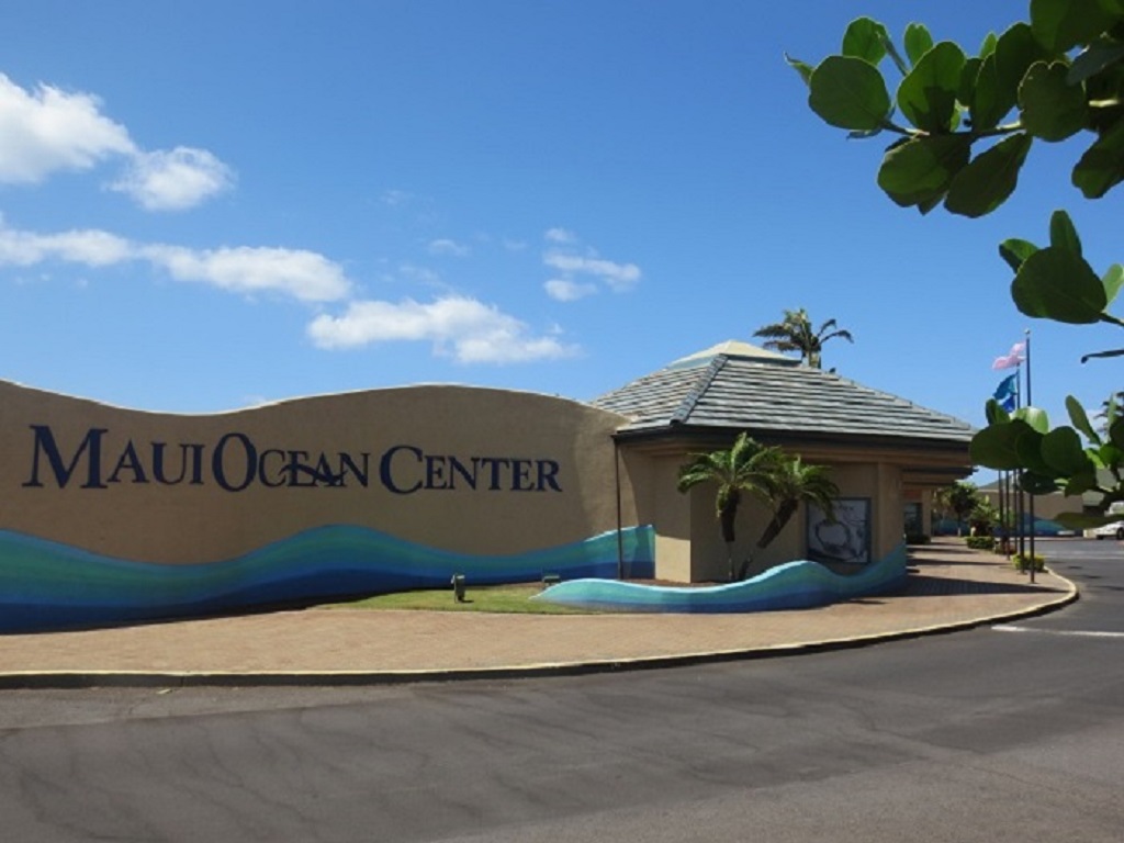 Kihei Condo 966524