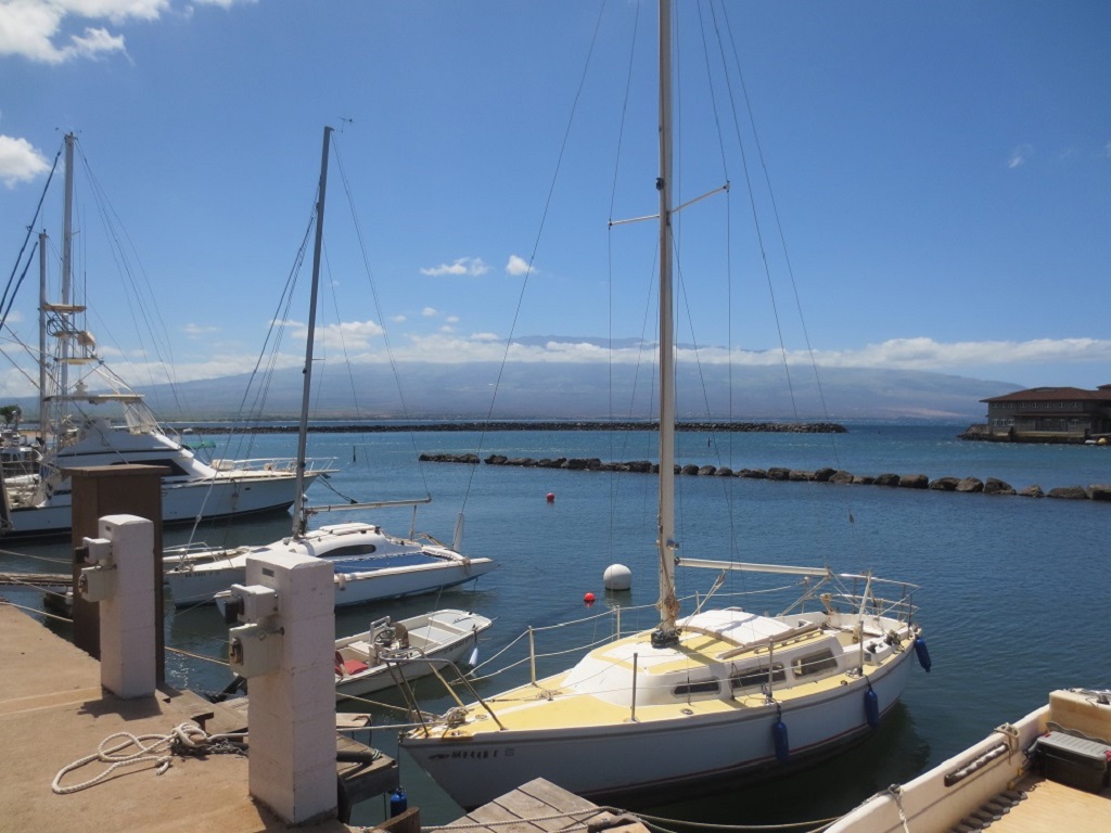 Kihei Condo 966524