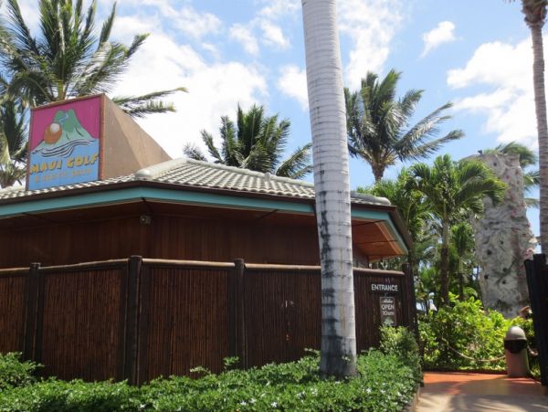 Kihei Condo 966524