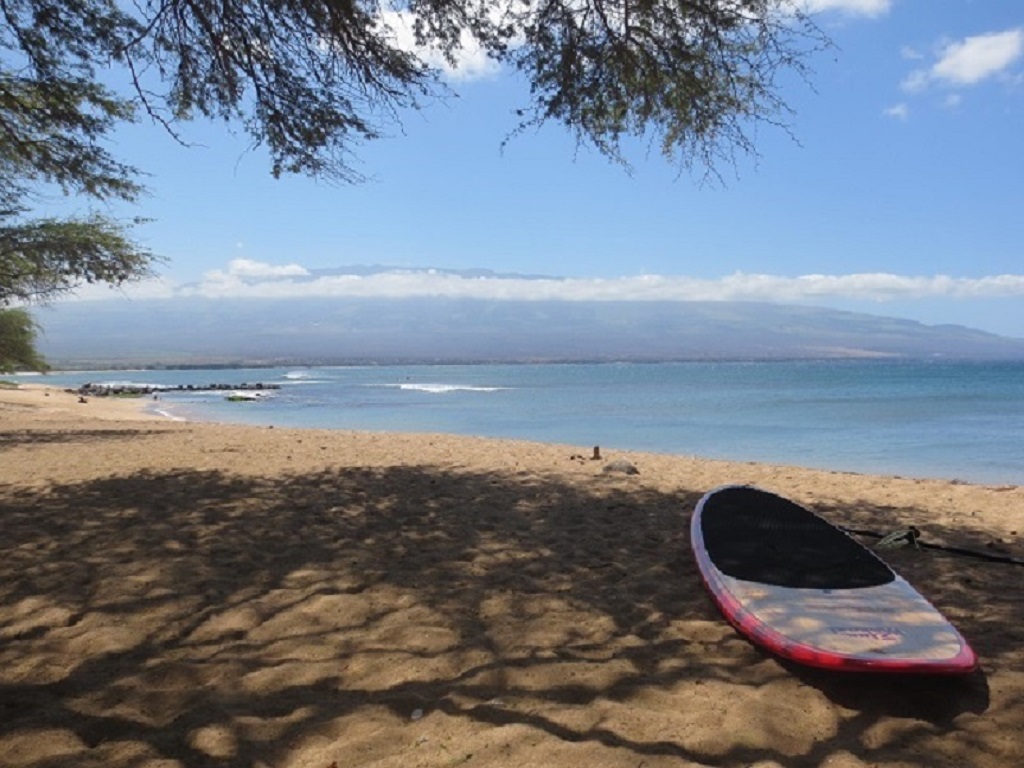 Kihei Condo 966524