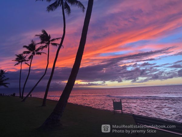 Kaanapali Condo 966525