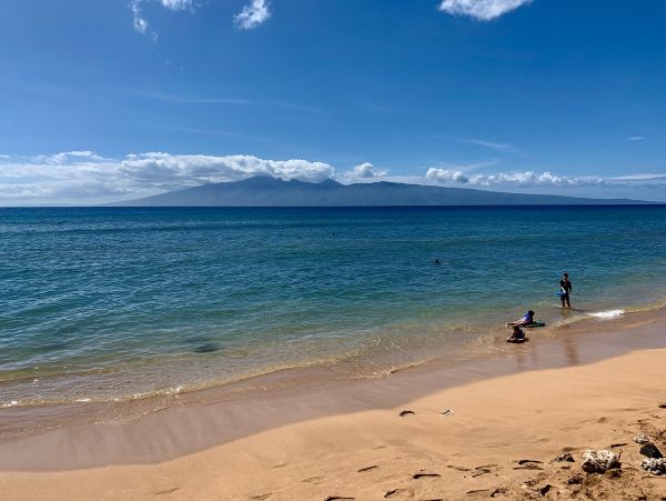 Kaanapali Condo 966525