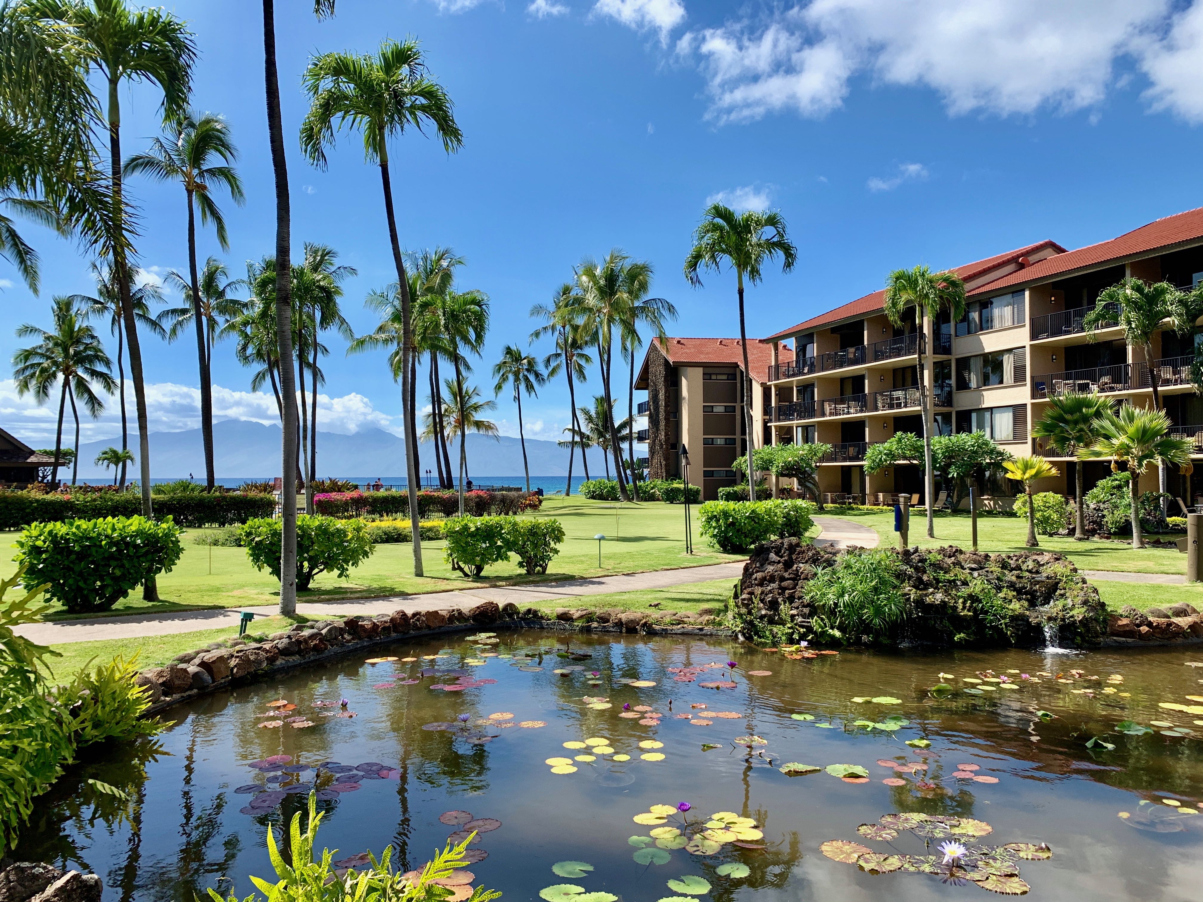 Kaanapali Condo 966525
