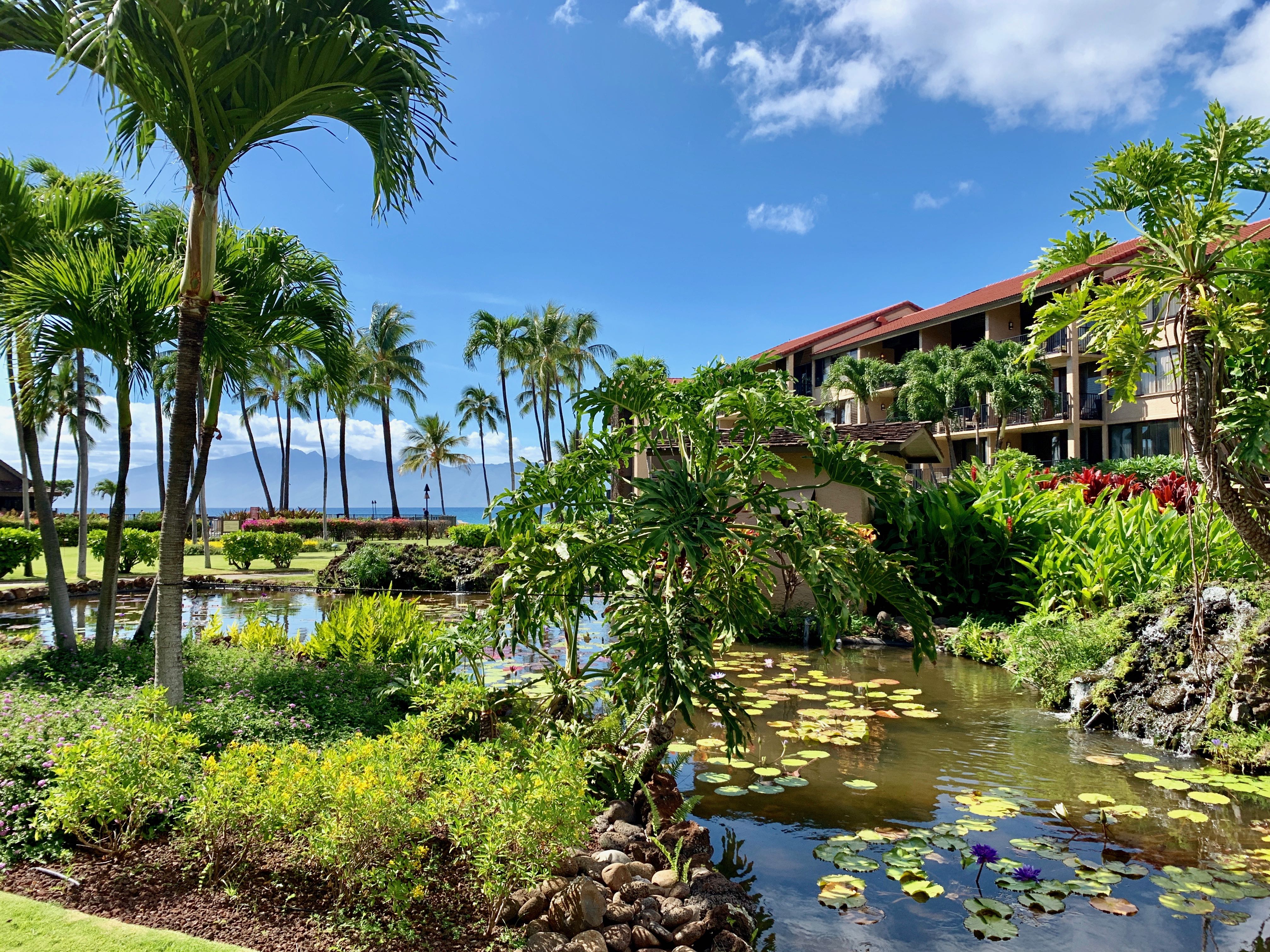Kaanapali Condo 966525