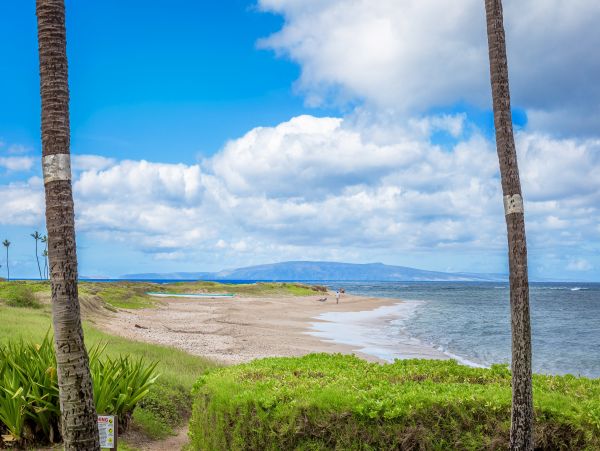 Kihei Condo 966528