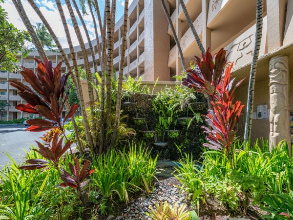 Kihei Condo 966528