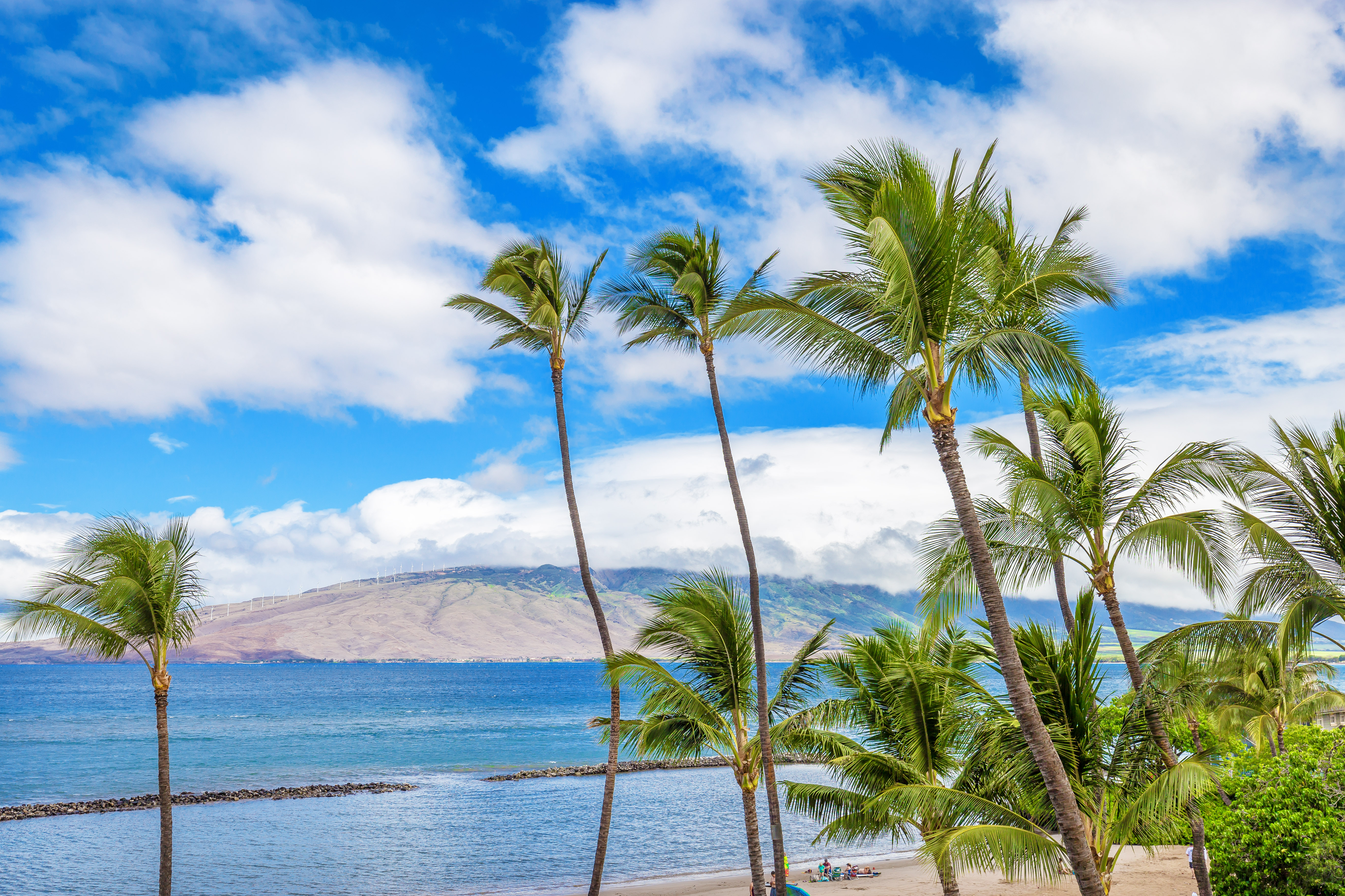 Kihei Condo 966528