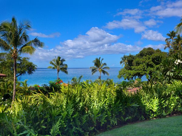 Gorgeous Wailea 3 Bedroom Villa with Views & Private Pool