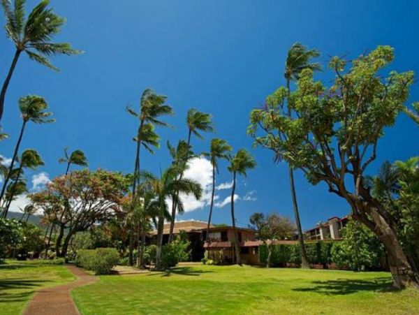 Kahana Condo 966530