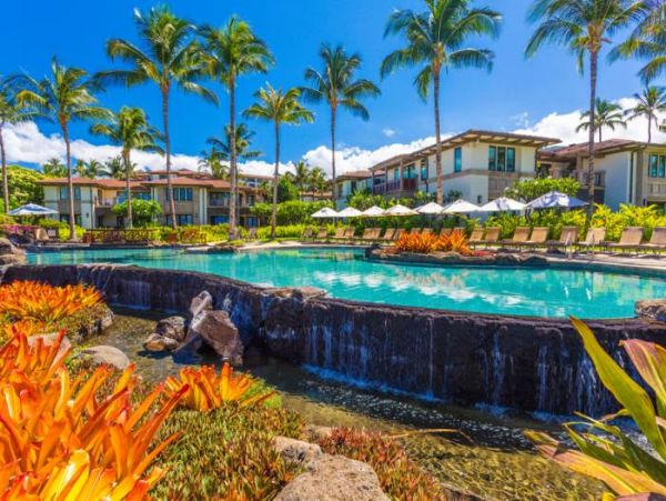 Wailea Condo 966534