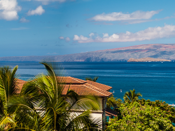 Wailea Condo 966548