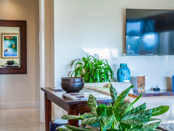 Wailea Condo 966548