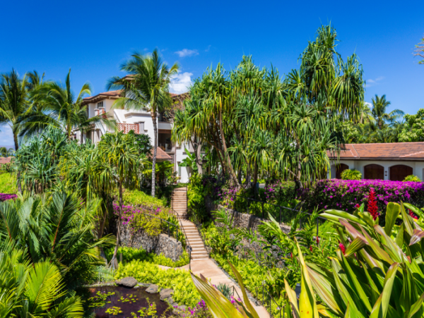 Wailea Condo 966548