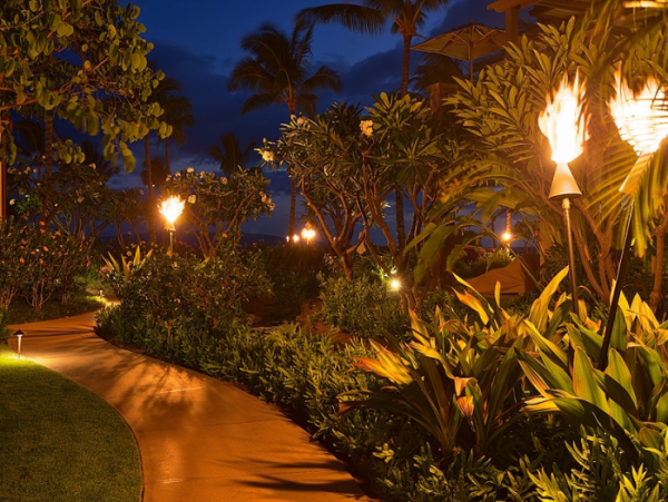 Wailea Condo 966548