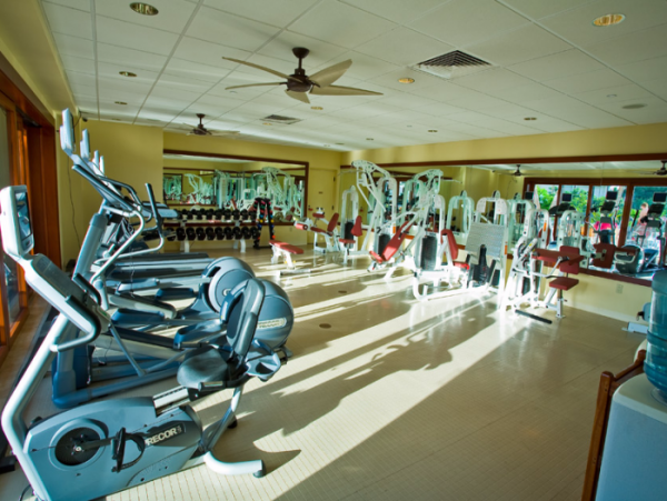 Wailea Condo 966548