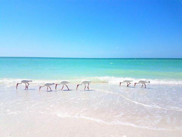Marco Island Luxury Vacation Home With Private Pool