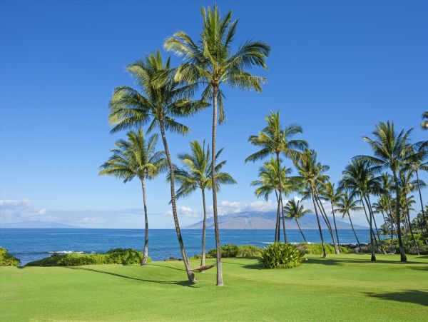 Luxury Wailea Vacation Rental - Exclusive Maui Villa