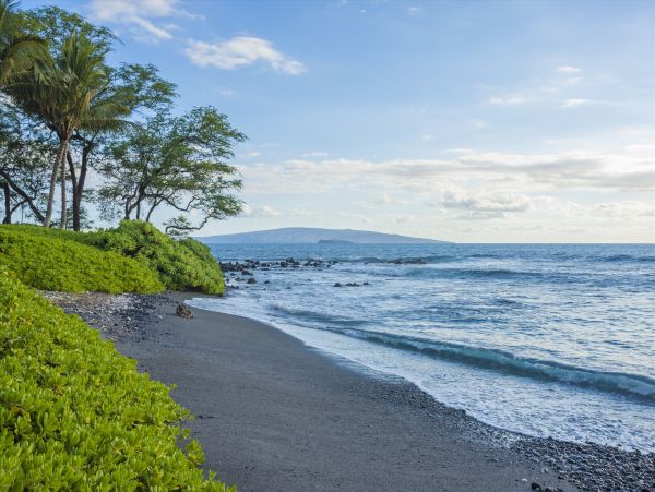 Luxury Wailea Vacation Rental - Exclusive Maui Villa