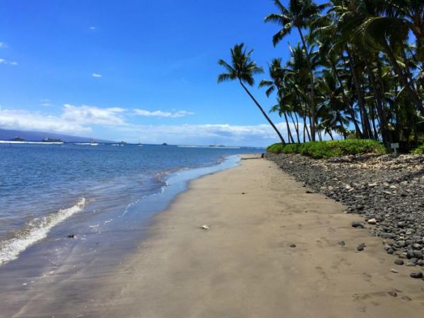 Lahaina Home 966554