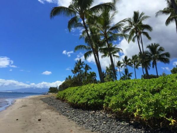 Lahaina Home 966554