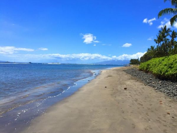 Lahaina Home 966554
